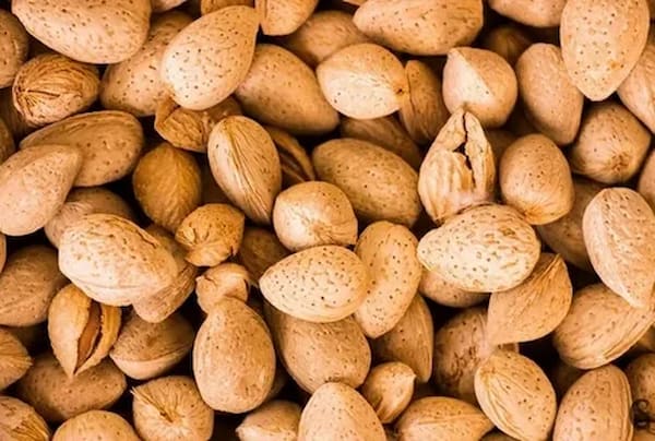 تصویر 2 از خرید و قیمت بادام منقا شور + فروش عمده